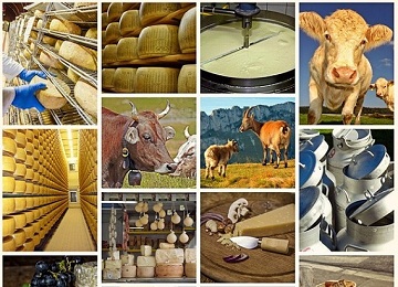 Animal Husbandry and Management