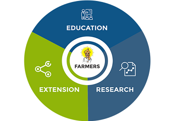 Web Development Solution